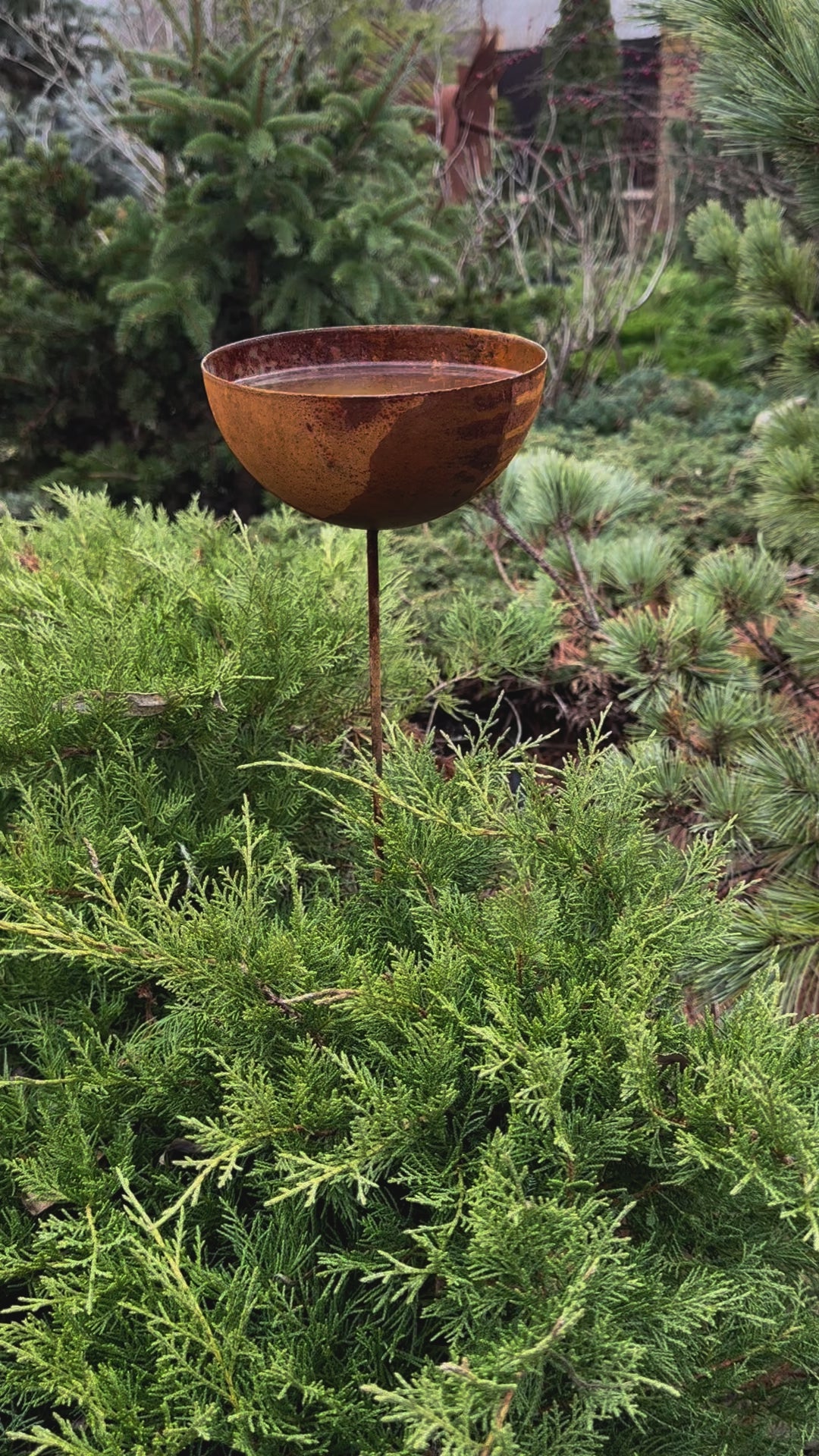 Rain catcher, Rusty metal flower garden stakes, Bird bath outdoor garden decor