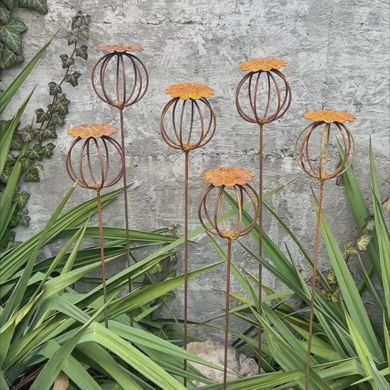 Rusty Flowers Set of 6, Poppy Seed Head Garden Decor, Metal Garden Art, Metal Yard Ornaments, Outdoor Metal Decor, Rustic Metal Sculpture 