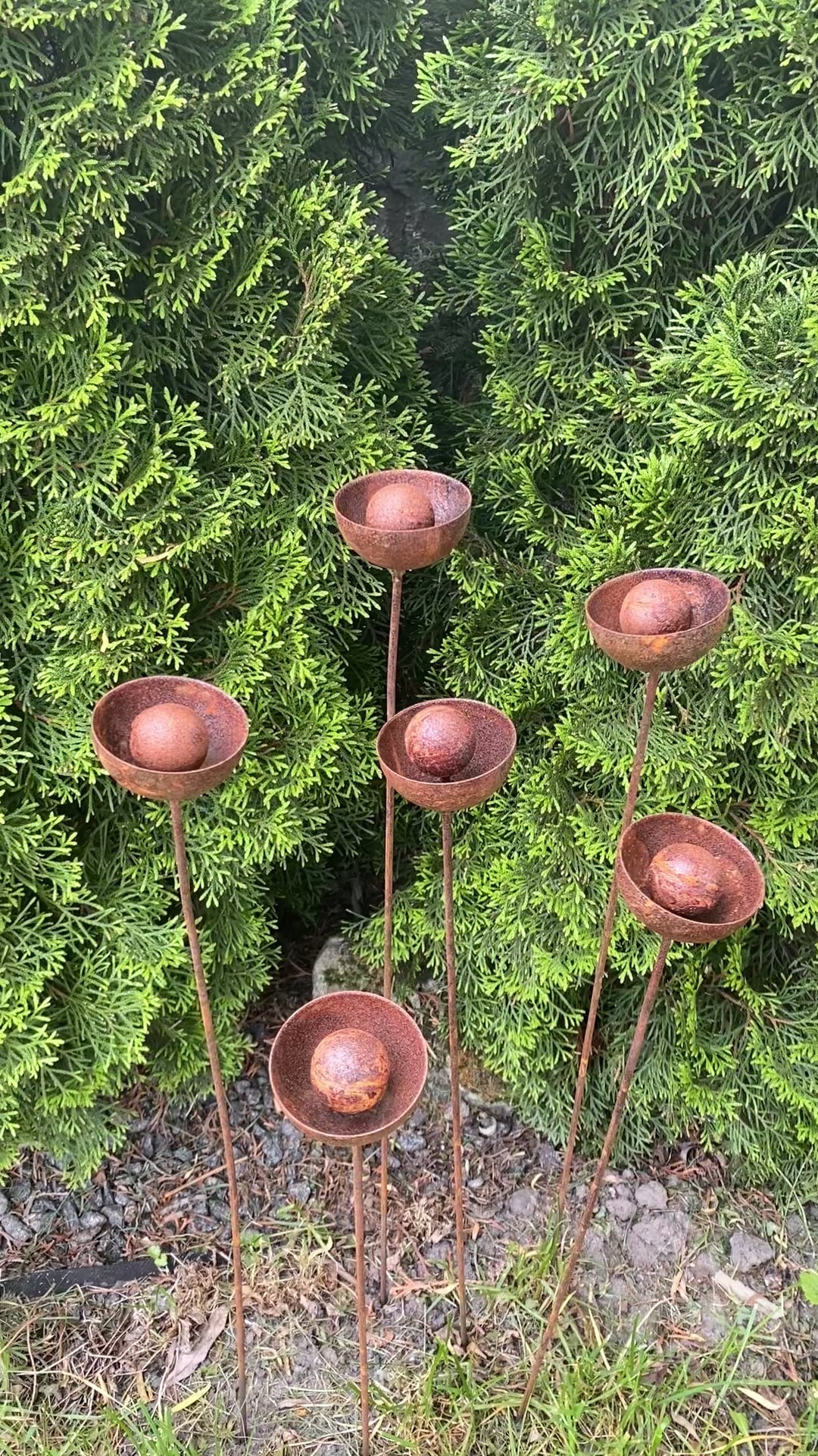 Set of 6 rusty flowers, Metal garden decorations, Yard art, Outdoor metal decor, Rusty metal rain catchers, beautiful garden stakes