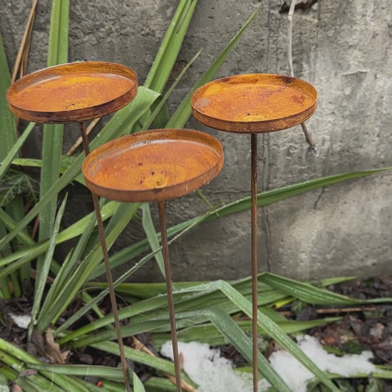 Rusty flower garden stakes, Metal rain catchers, Bird bath outdoor garden decor