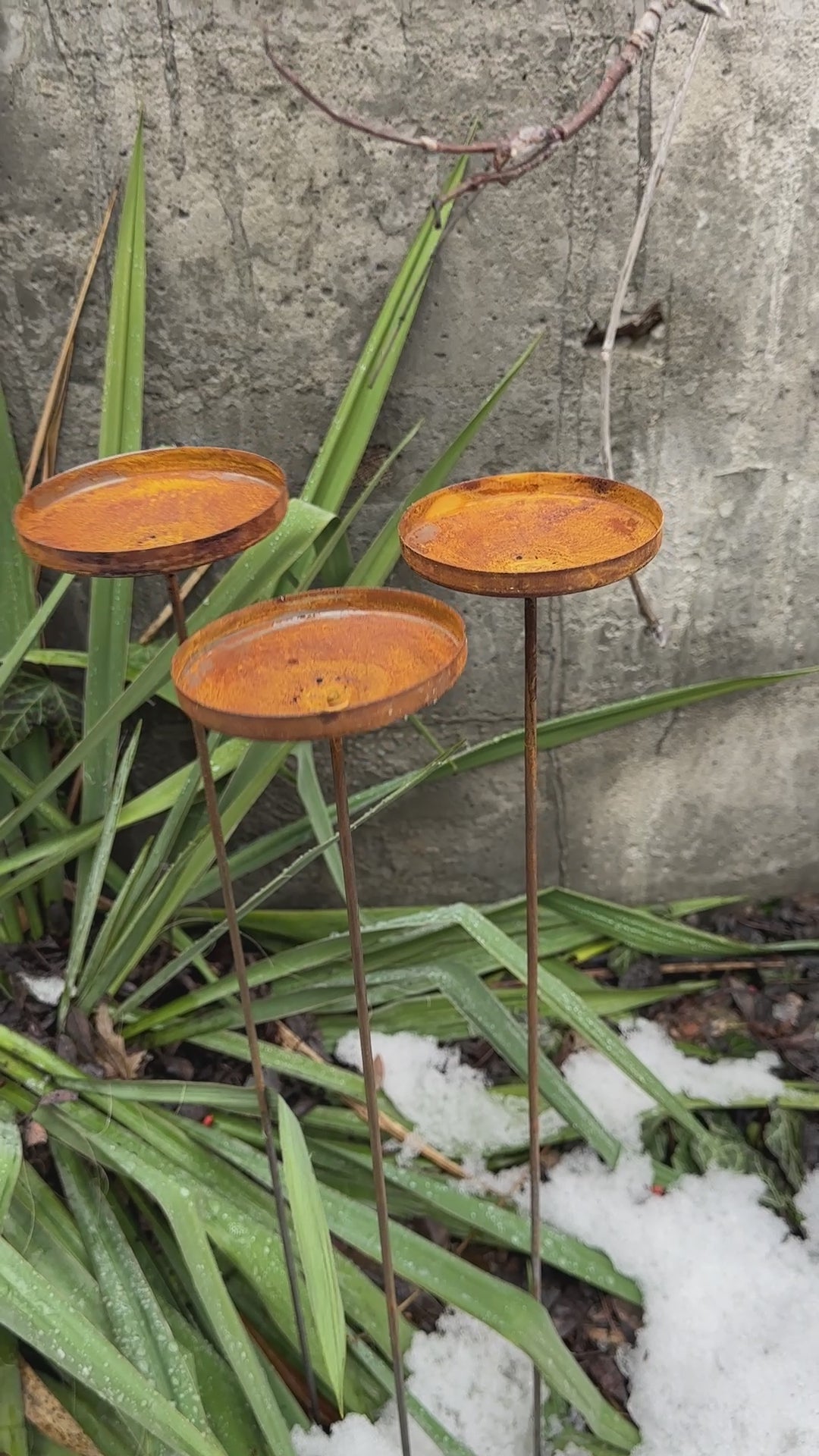 Rusty flower garden stakes, Metal rain catchers, Bird bath outdoor garden decor