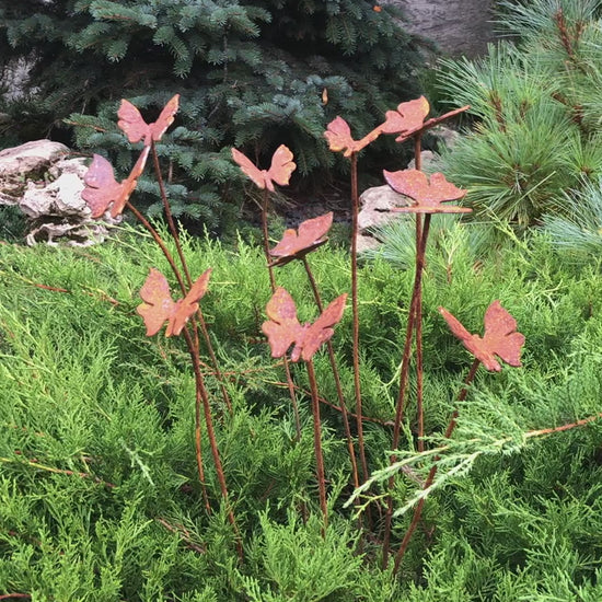 Rusty butterflies set of 10, 10 Rusty butterflies garden stakes, Metal garden decor, metal yard art, outdoor metal decor, gift for gardener