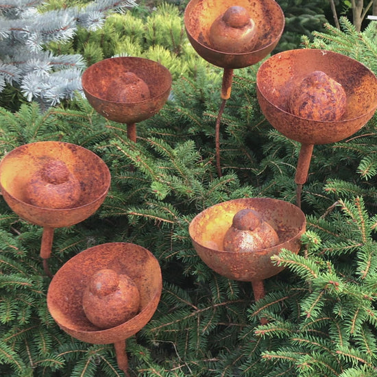 Rusty flowers set of 6, Metal garden decor, 6 Rusty flowers garden stakes,  metal yard art, outdoor metal decor, Rusty metal rain catchers