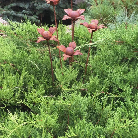 Rusty flowers set of 6, 6 Rusty flowers garden stakes, Metal garden decor, metal yard art, outdoor metal decor, Rusty metal garden decor