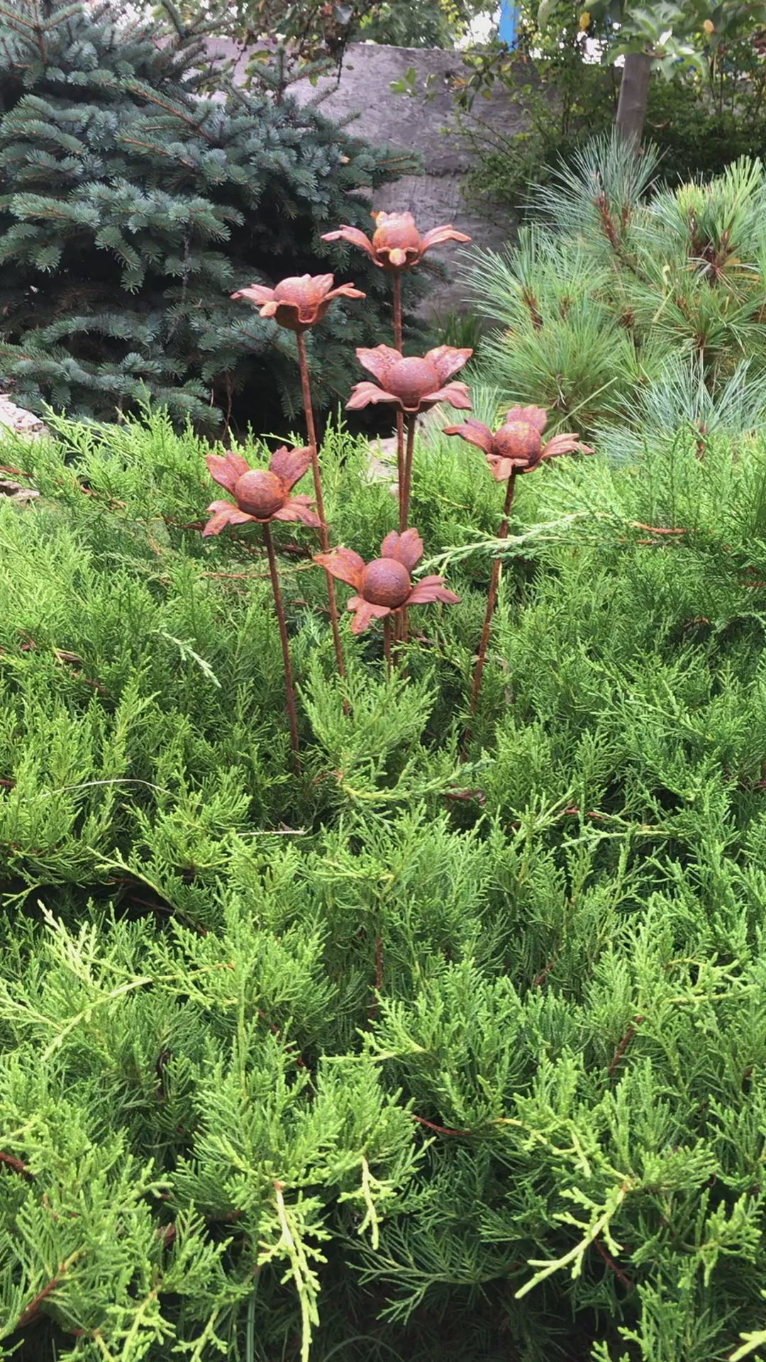 Rusty flowers set of 6, 6 Rusty flowers garden stakes, Metal garden decor, metal yard art, outdoor metal decor, Rusty metal garden decor