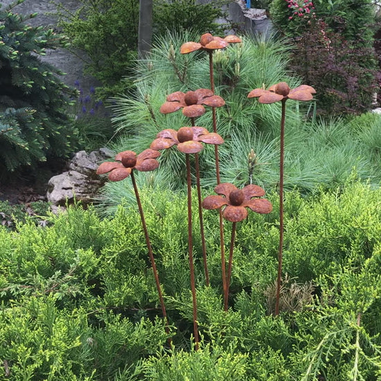 Rusty flowers set of 6, 6 Rusty flowers garden stakes, Metal garden decor, metal yard art, outdoor metal decor, Rusty metal garden decor