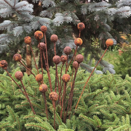 Rusty flowers set of 20, Metal Flower garden decor, Metal garden decor, metal yard art, outdoor metal decor, Rusty metal garden decor