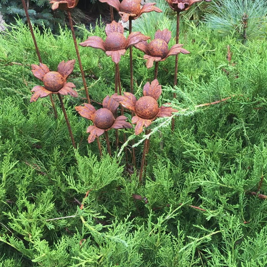 Rusty flowers set of 10, 10 Rusty flowers garden stakes, Metal garden decor, metal yard art, outdoor metal decor, Rusty metal garden decor