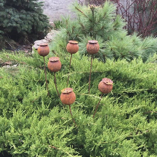 Poppy seeds head garden decor, Rusty flowers set of 6, Metal garden decor, metal yard art, outdoor metal decor, Rusty metal garden decor