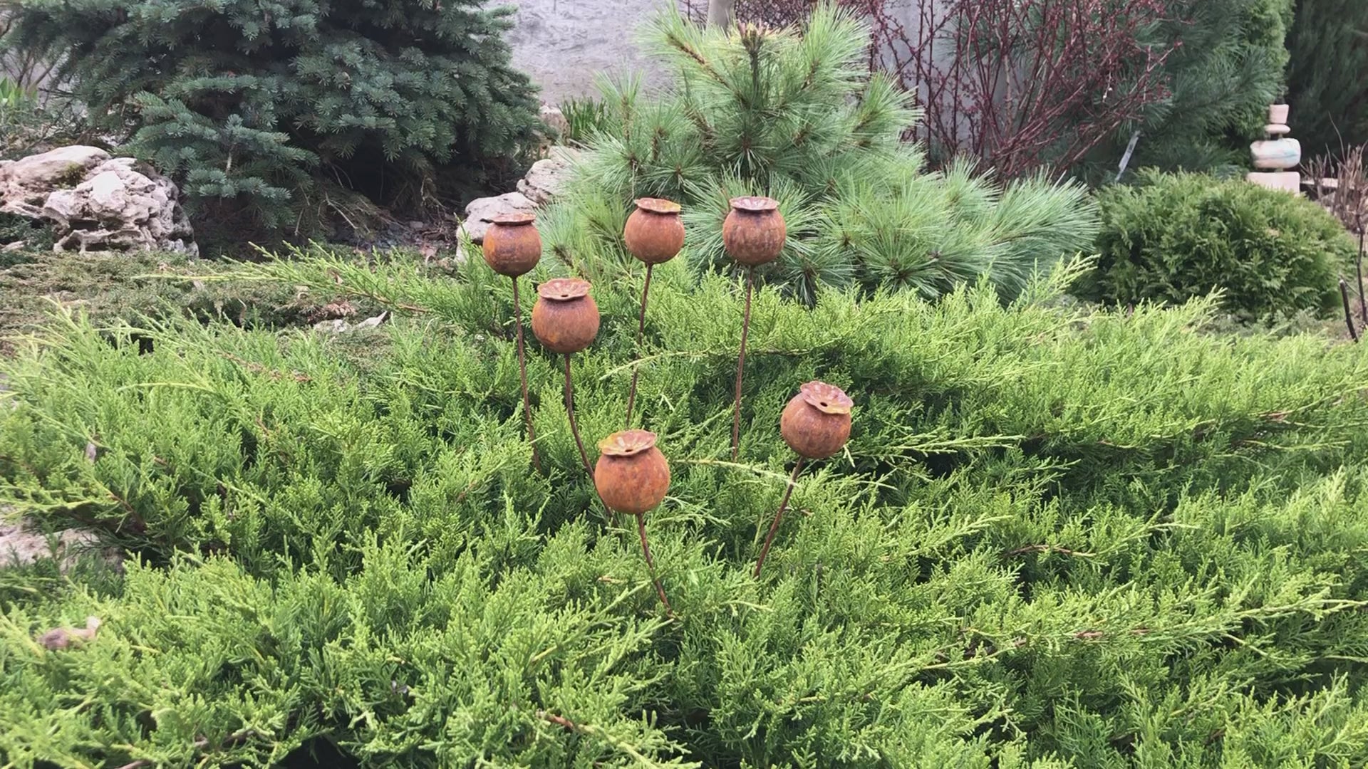 Poppy seeds head garden decor, Rusty flowers set of 6, Metal garden decor, metal yard art, outdoor metal decor, Rusty metal garden decor