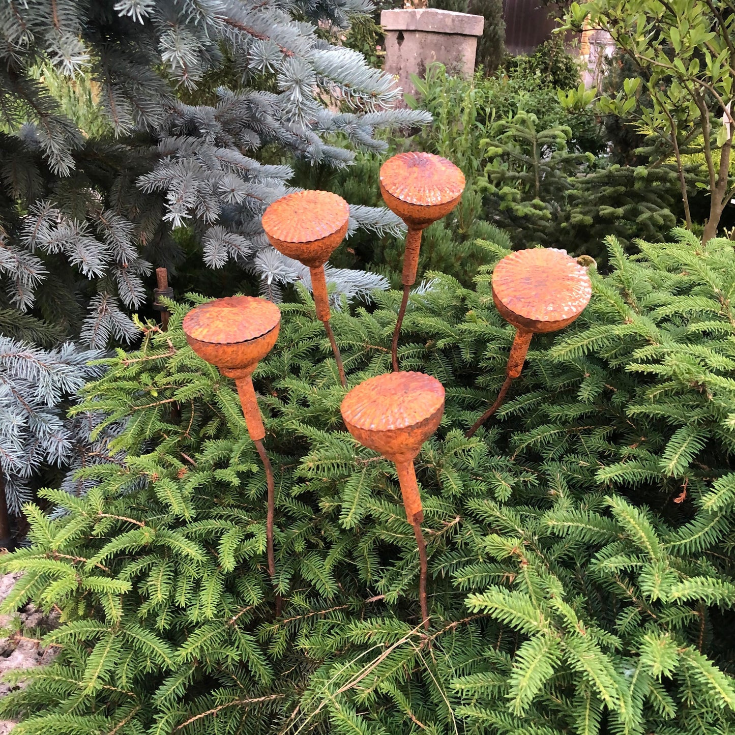 Rusty flowers set of 5, Poppy seeds head garden decor, Metal garden decor, metal yard art, outdoor metal decor, Rusty metal garden decor