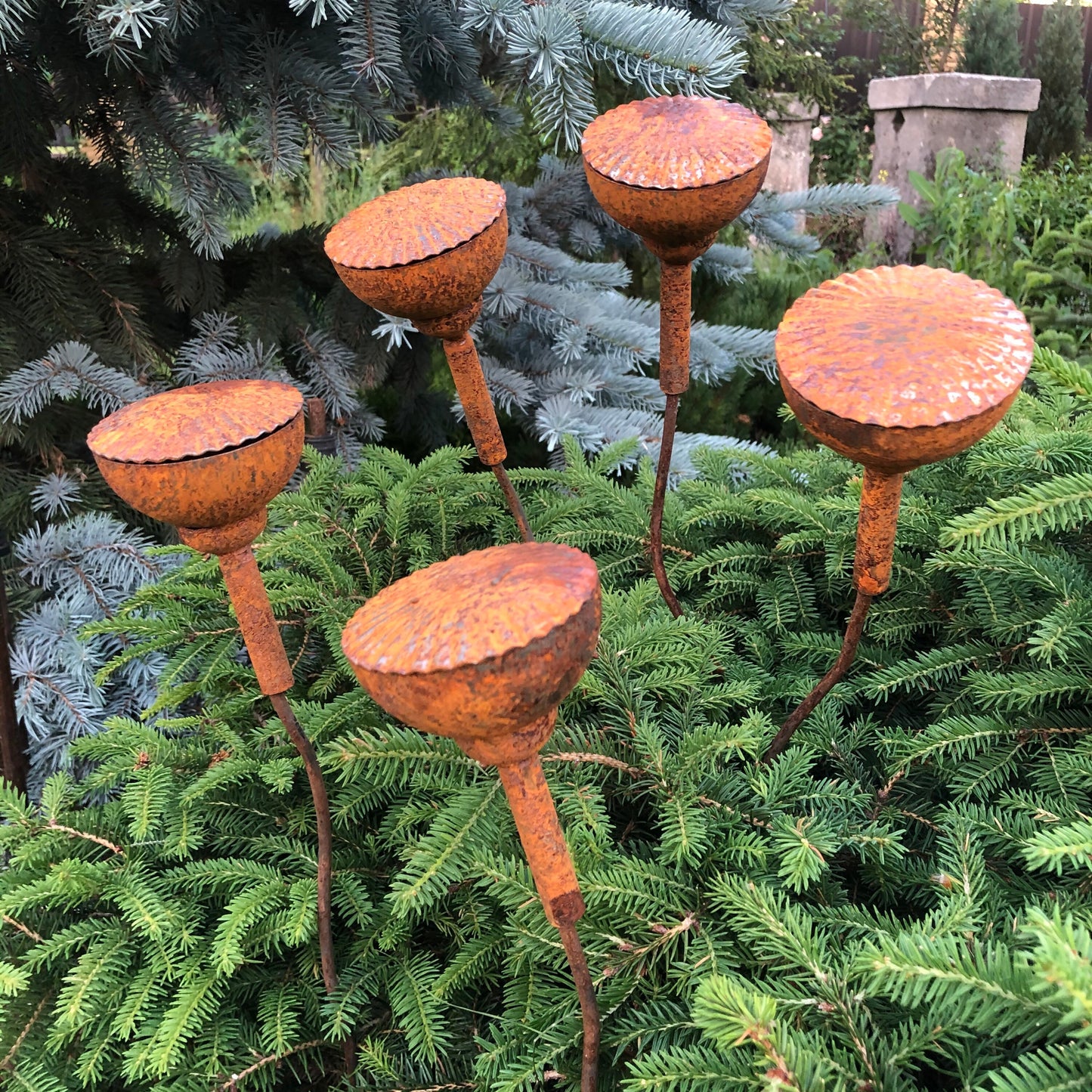 Rusty flowers set of 5, Poppy seeds head garden decor, Metal garden decor, metal yard art, outdoor metal decor, Rusty metal garden decor