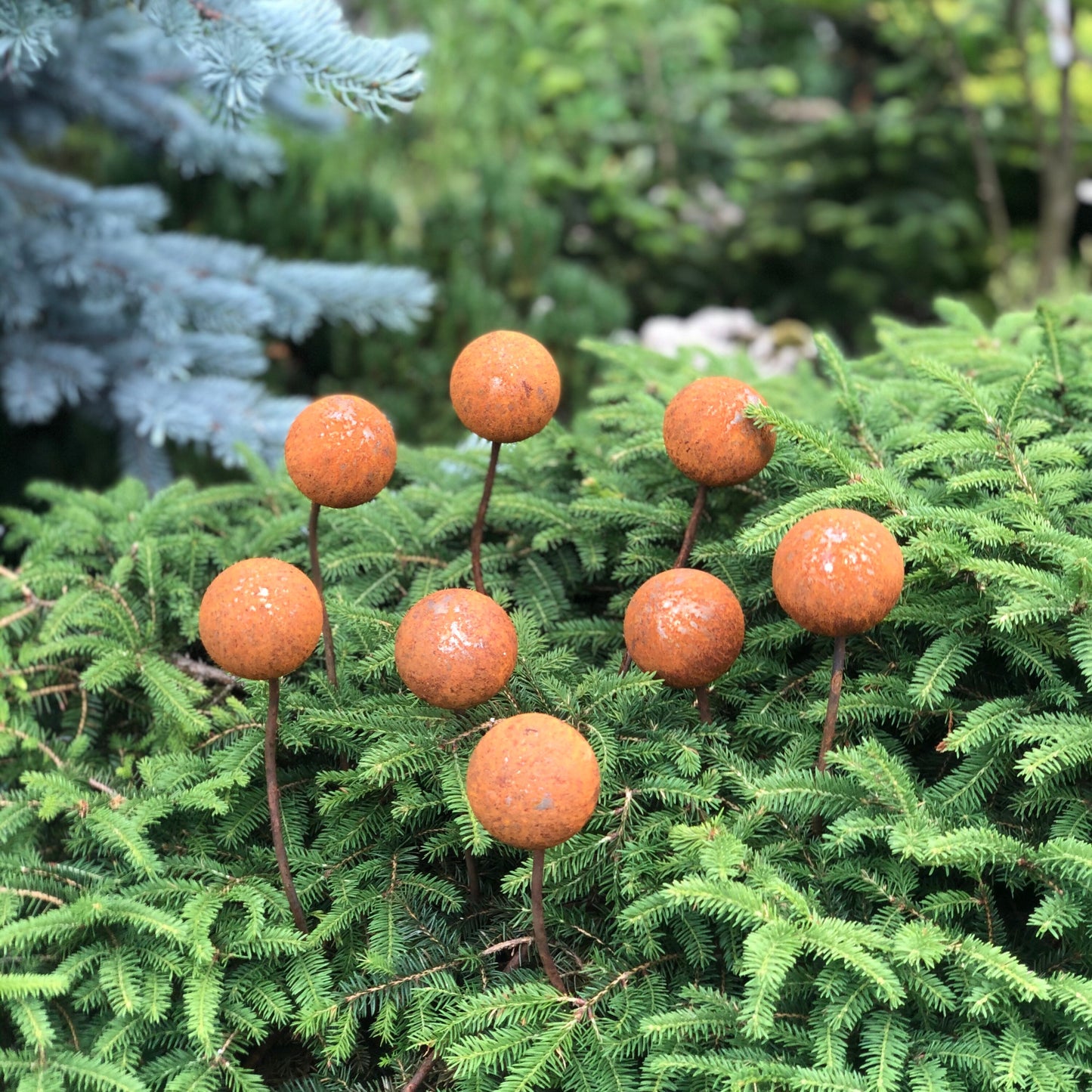 Rusty flowers set of 8, Metal garden decor, 8 Rusty flowers garden stakes,  metal yard art, outdoor metal decor, Rusty metal garden decor