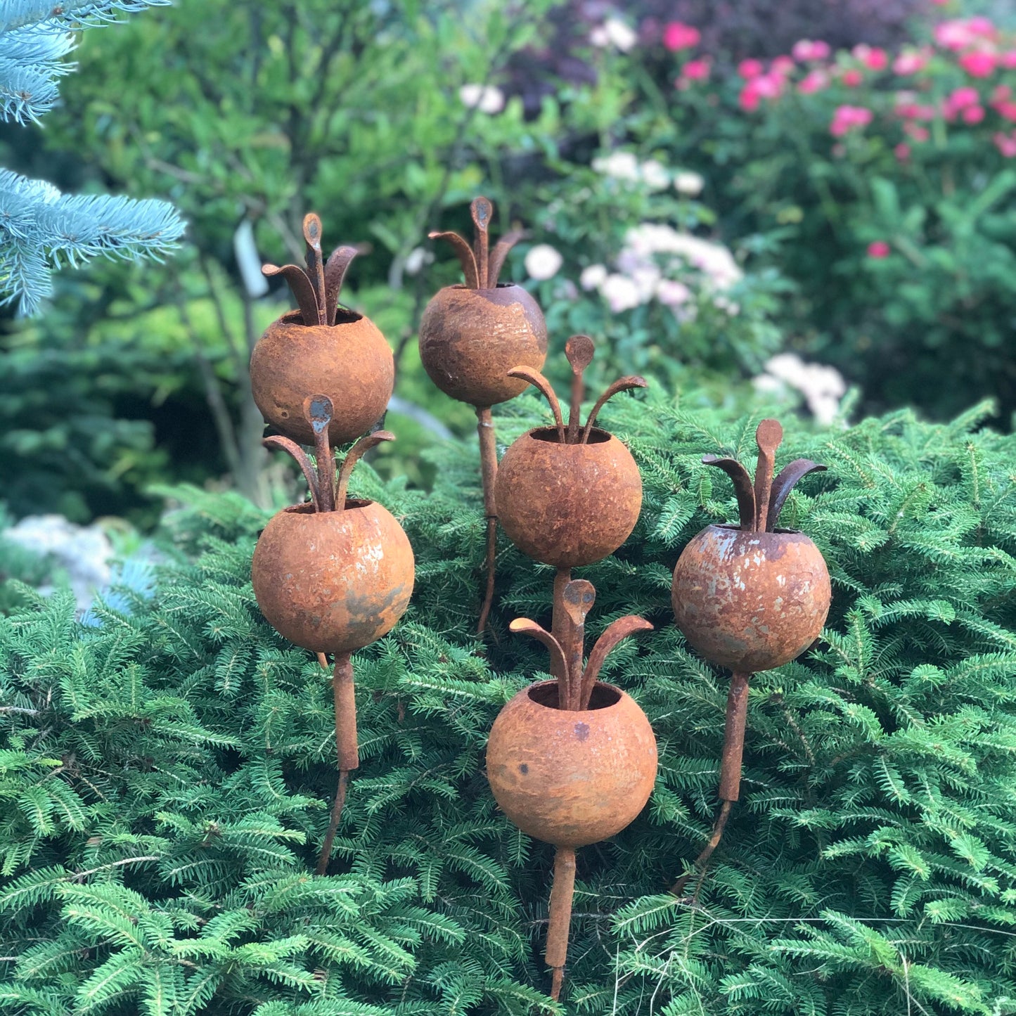 Rusty flowers set of 6, Metal garden decor, 6 Rusty flowers garden stakes,  metal yard art, outdoor metal decor, Rusty metal garden decor