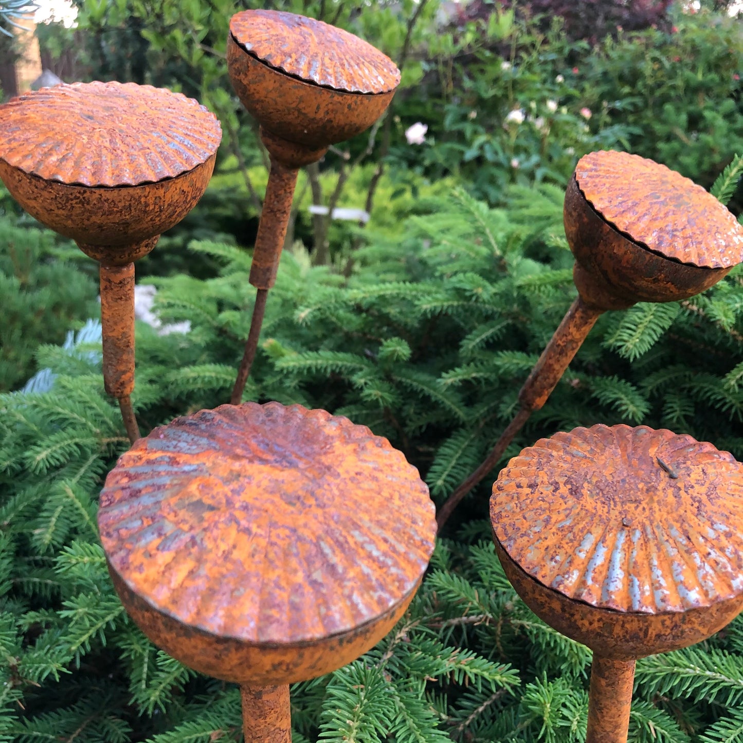 Rusty flowers set of 5, Poppy seeds head garden decor, Metal garden decor, metal yard art, outdoor metal decor, Rusty metal garden decor