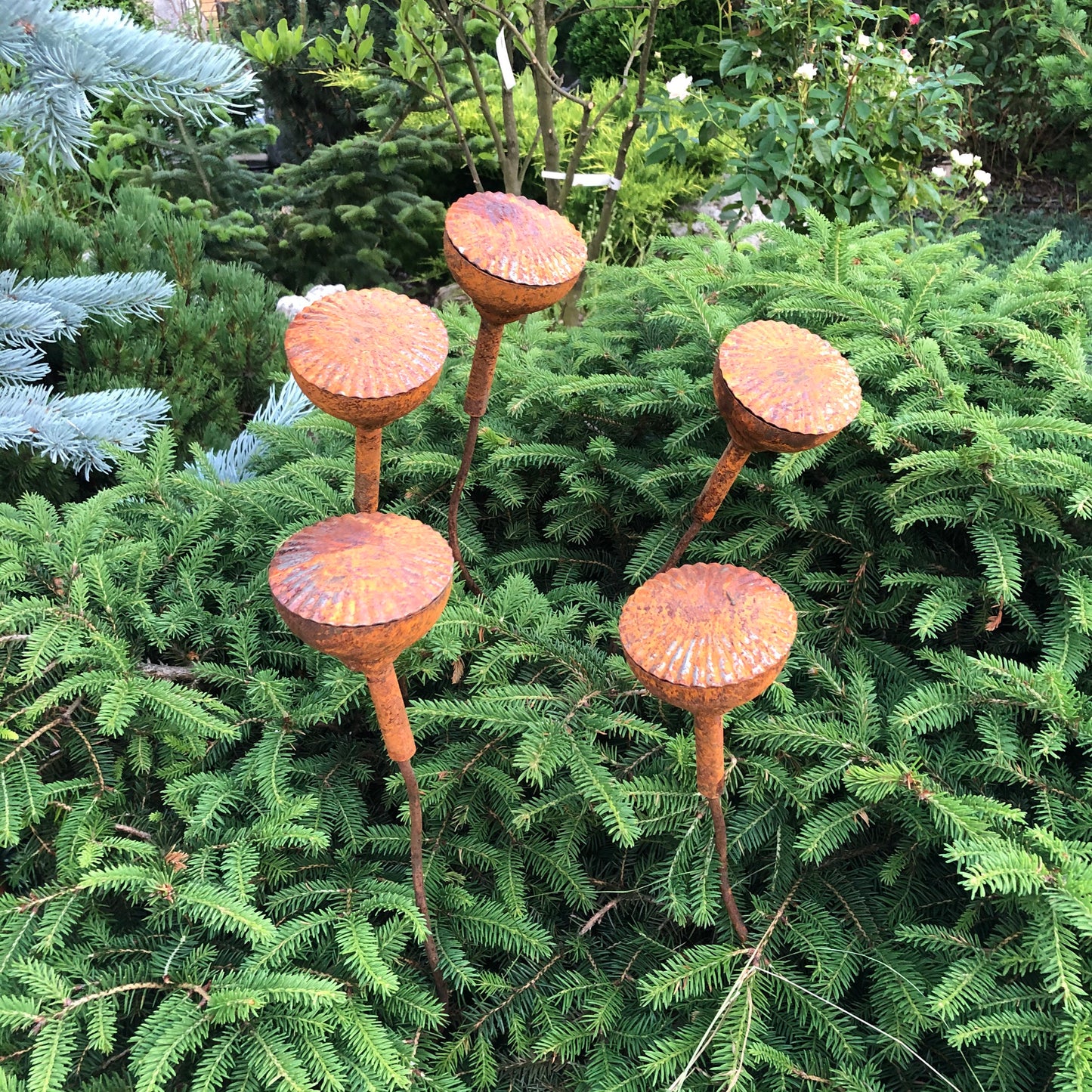 Rusty flowers set of 5, Poppy seeds head garden decor, Metal garden decor, metal yard art, outdoor metal decor, Rusty metal garden decor