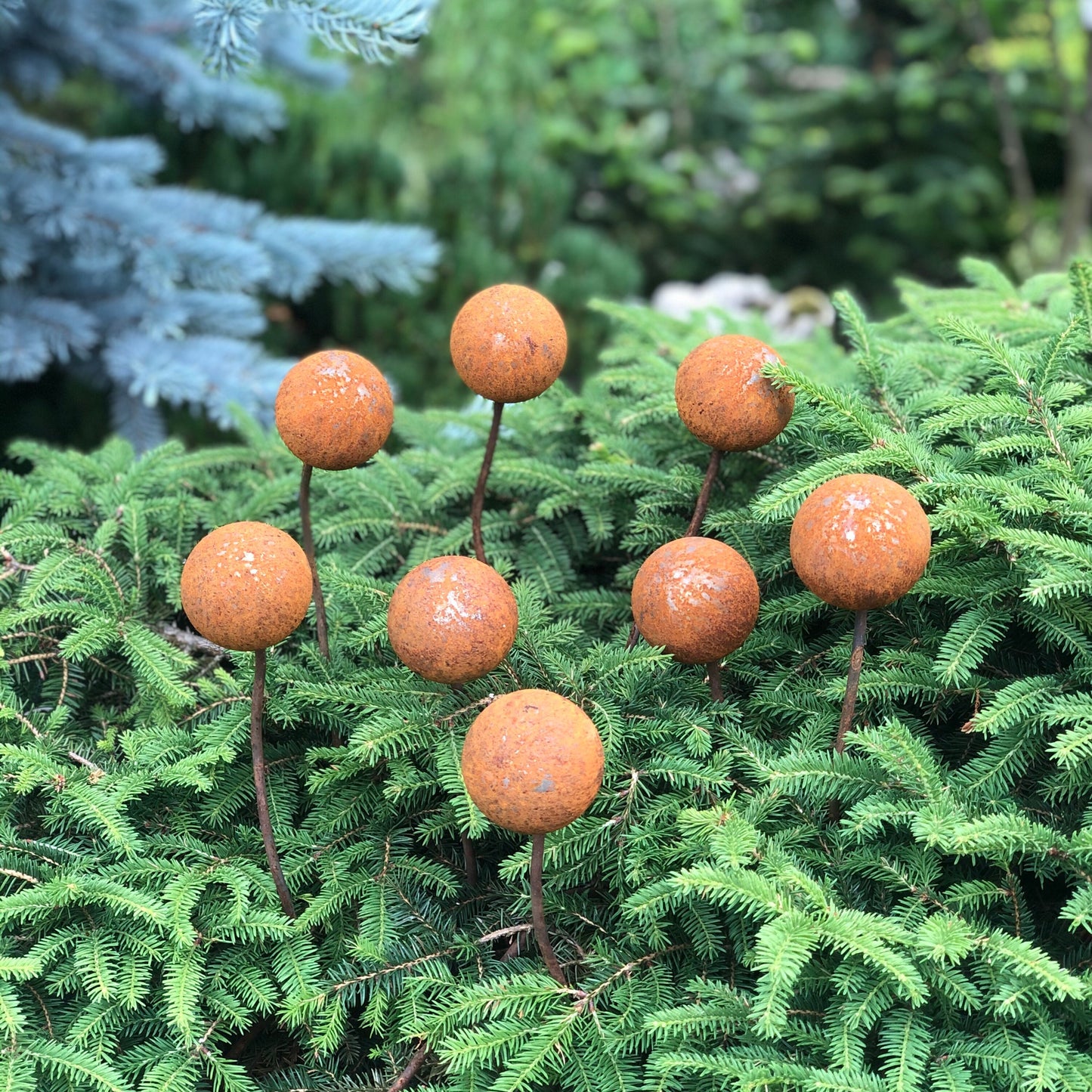 Rusty flowers set of 8, Metal garden decor, 8 Rusty flowers garden stakes,  metal yard art, outdoor metal decor, Rusty metal garden decor