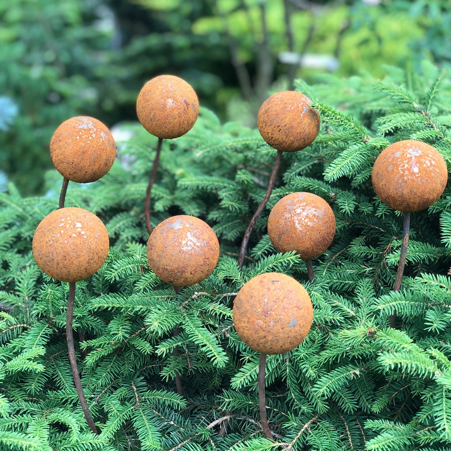 Rusty flowers set of 8, Metal garden decor, 8 Rusty flowers garden stakes,  metal yard art, outdoor metal decor, Rusty metal garden decor