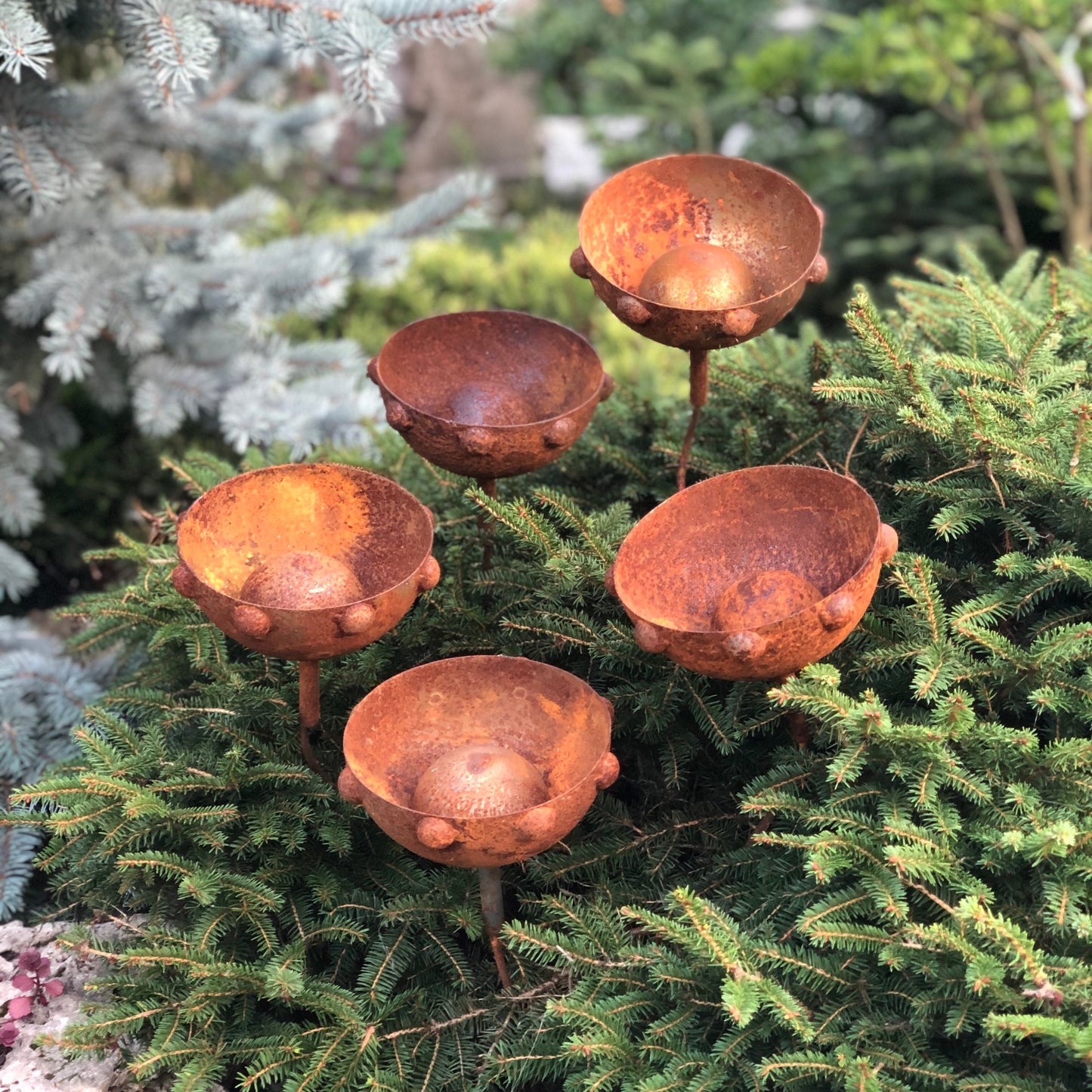 Rusty flowers set of 5, Metal flower garden stake, Metal garden decor, metal yard art, outdoor metal decor, Rusty metal garden decor