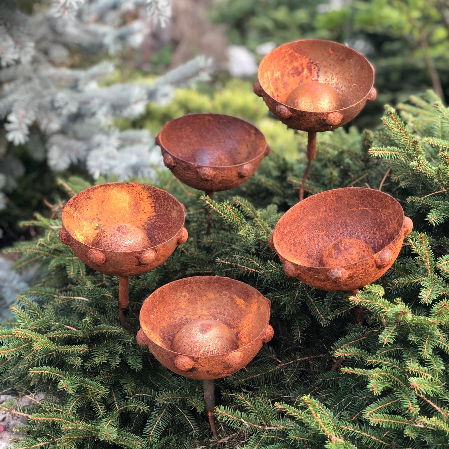 Rusty flowers set of 5, Metal flower garden stake, Metal garden decor, metal yard art, outdoor metal decor, Rusty metal garden decor