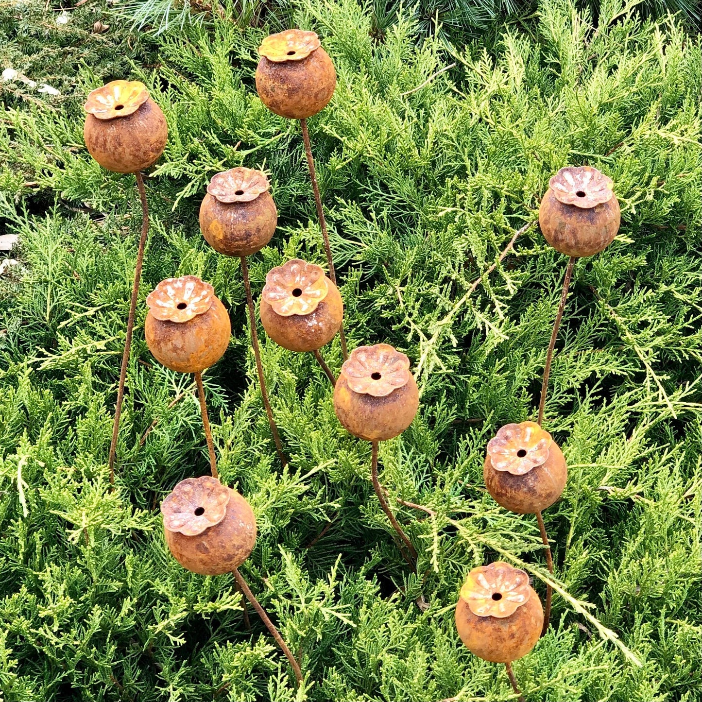 Rusty flowers set of 10, Poppy seeds head garden decor, Metal garden decor, metal yard art, outdoor metal decor, Rusty metal garden decor