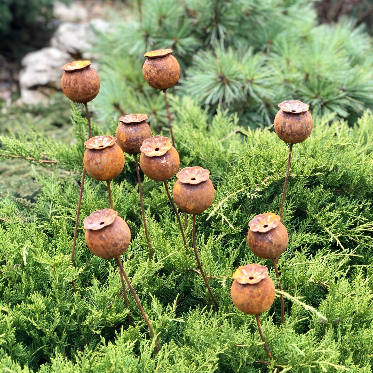 Rusty flowers set of 10, Poppy seeds head garden decor, Metal garden decor, metal yard art, outdoor metal decor, Rusty metal garden decor