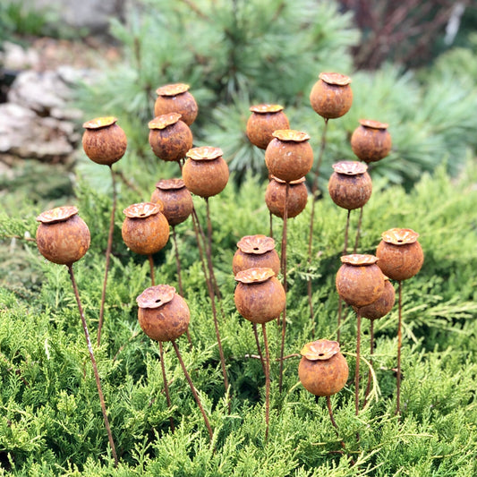 Rusty flowers set of 20, Poppy seeds head garden decor, Metal garden decor, metal yard art, outdoor metal decor, Rusty metal garden decor