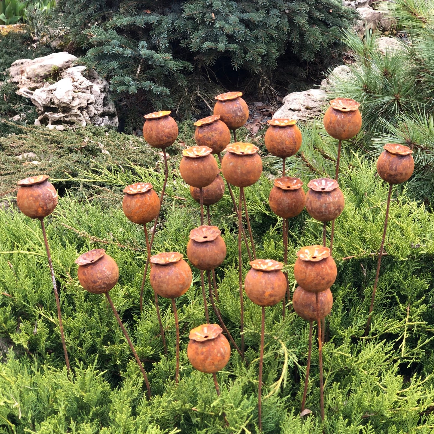 Rusty flowers set of 20, Poppy seeds head garden decor, Metal garden decor, metal yard art, outdoor metal decor, Rusty metal garden decor