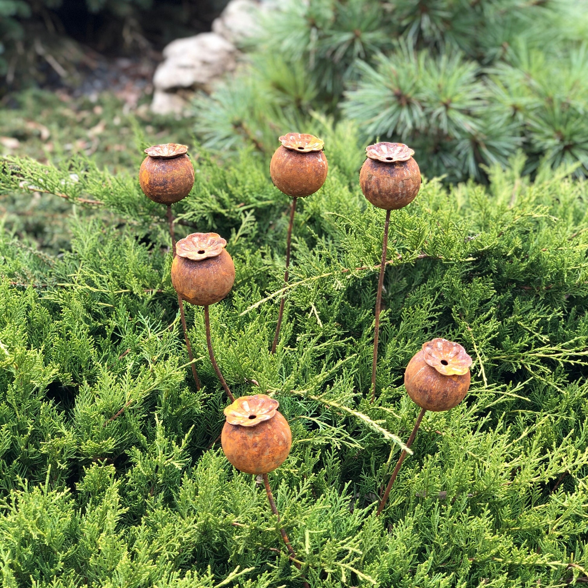 Poppy seeds head garden decor, Rusty flowers set of 6, Metal garden decor, metal yard art, outdoor metal decor, Rusty metal garden decor