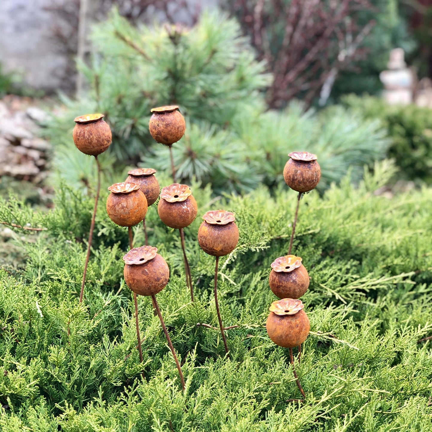 Rusty flowers set of 10, Poppy seeds head garden decor, Metal garden decor, metal yard art, outdoor metal decor, Rusty metal garden decor