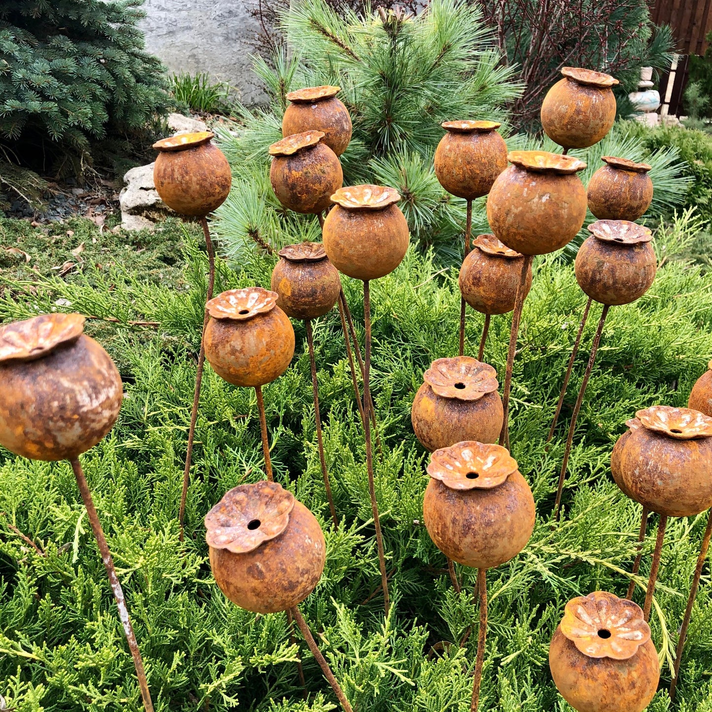 Rusty flowers set of 20, Poppy seeds head garden decor, Metal garden decor, metal yard art, outdoor metal decor, Rusty metal garden decor