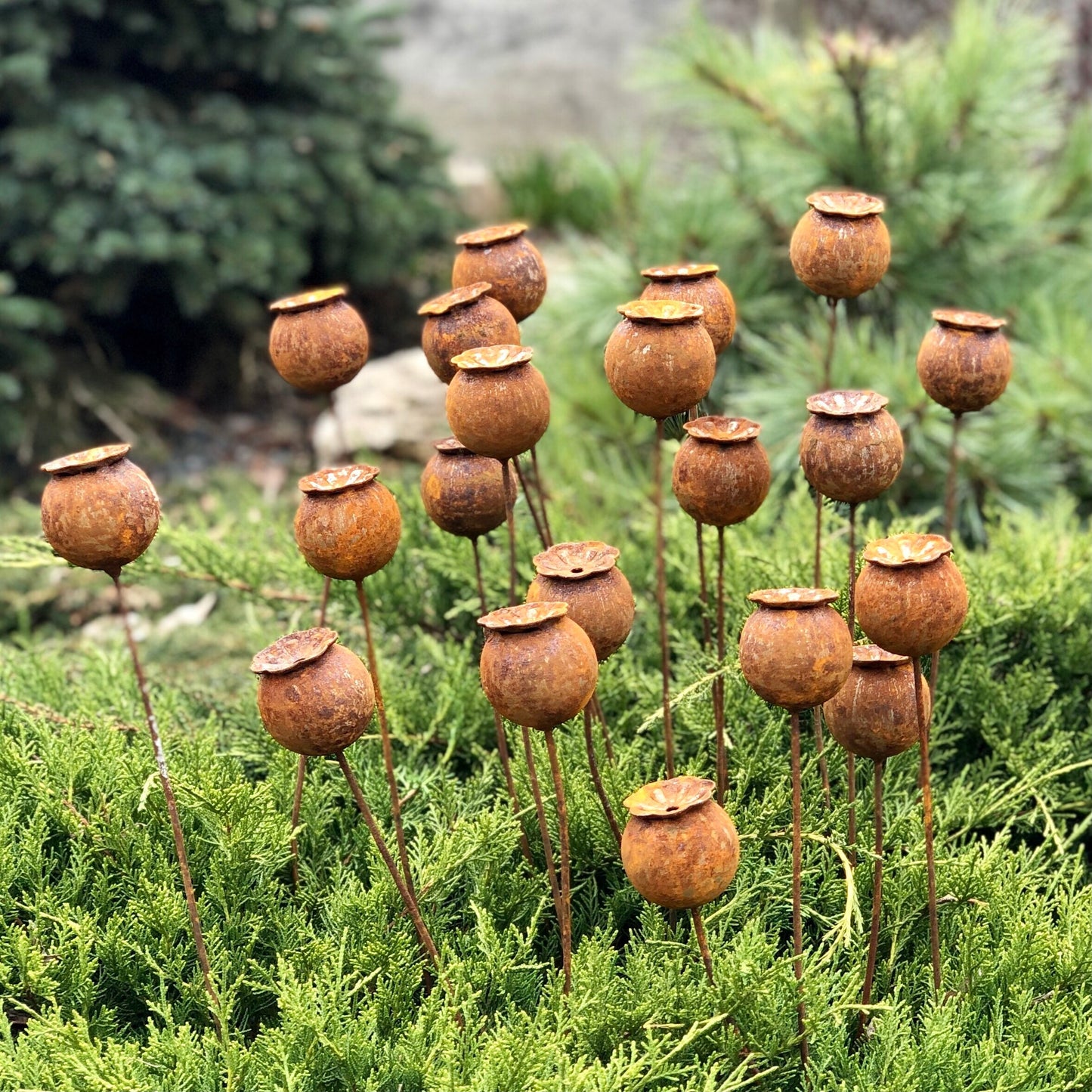 Rusty flowers set of 20, Poppy seeds head garden decor, Metal garden decor, metal yard art, outdoor metal decor, Rusty metal garden decor