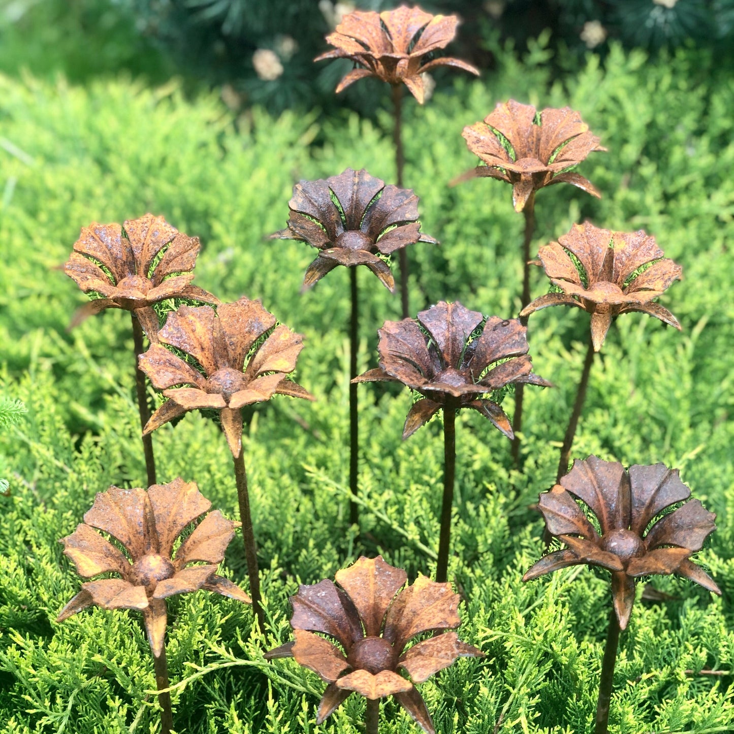 Rusty flowers set of 10, 10 Rusty flowers garden stakes, Metal garden decor, metal yard art, outdoor metal decor, Rusty metal garden decor