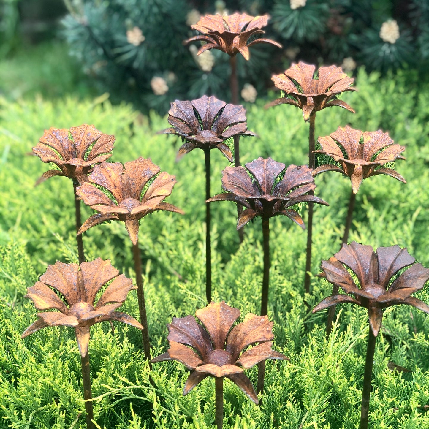 Rusty flowers set of 10, 10 Rusty flowers garden stakes, Metal garden decor, metal yard art, outdoor metal decor, Rusty metal garden decor