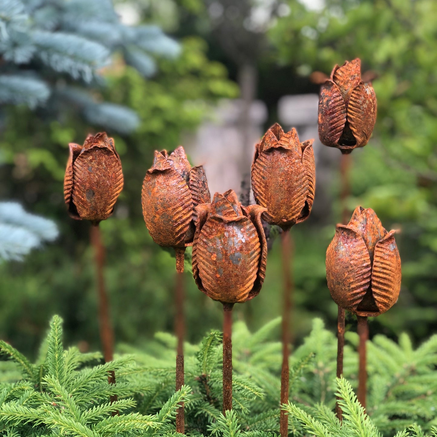 Rusty flowers set of 6, Tulips flowers garden decor, Metal garden decor, metal yard art, outdoor metal decor, Rusty metal garden decor