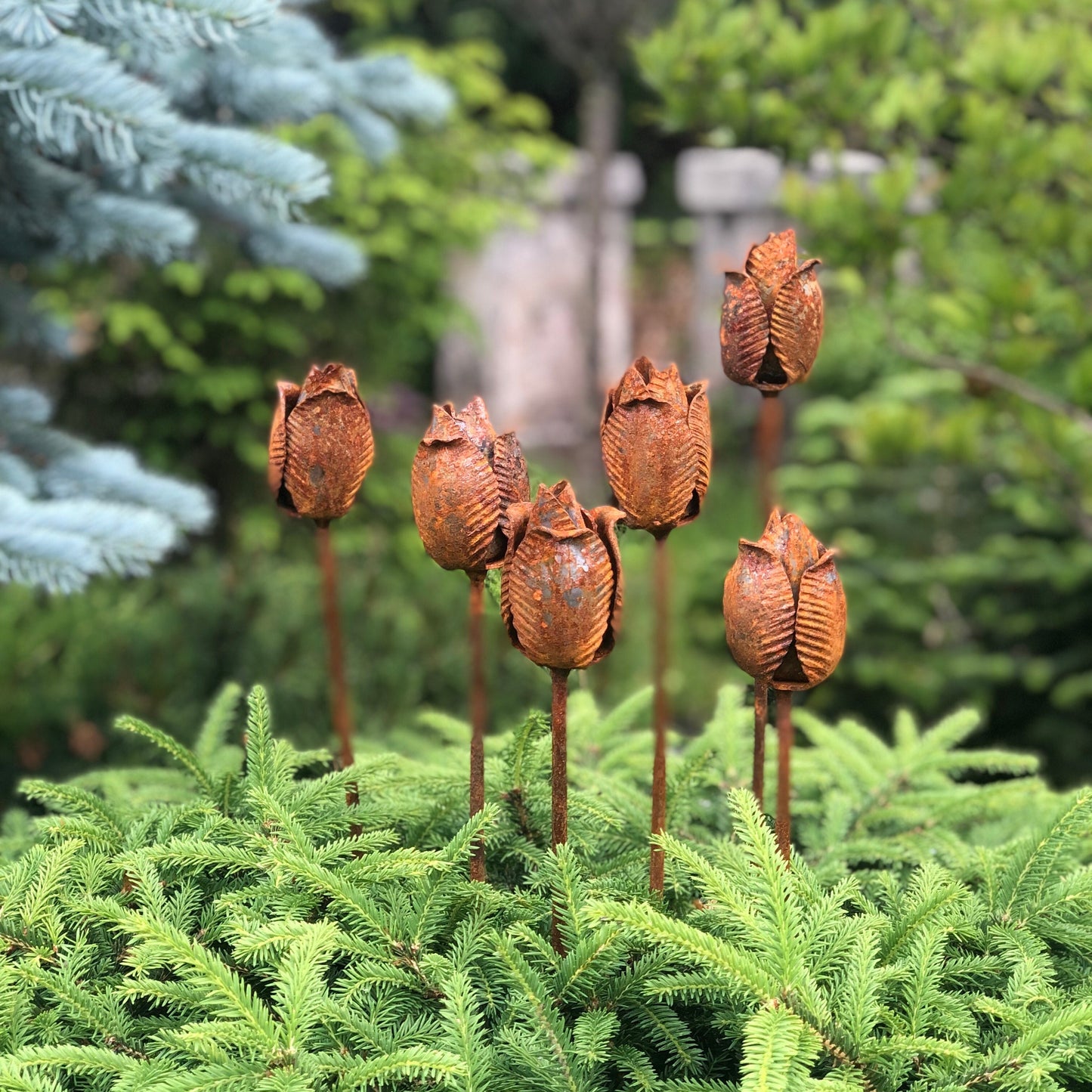 Rusty flowers set of 6, Tulips flowers garden decor, Metal garden decor, metal yard art, outdoor metal decor, Rusty metal garden decor