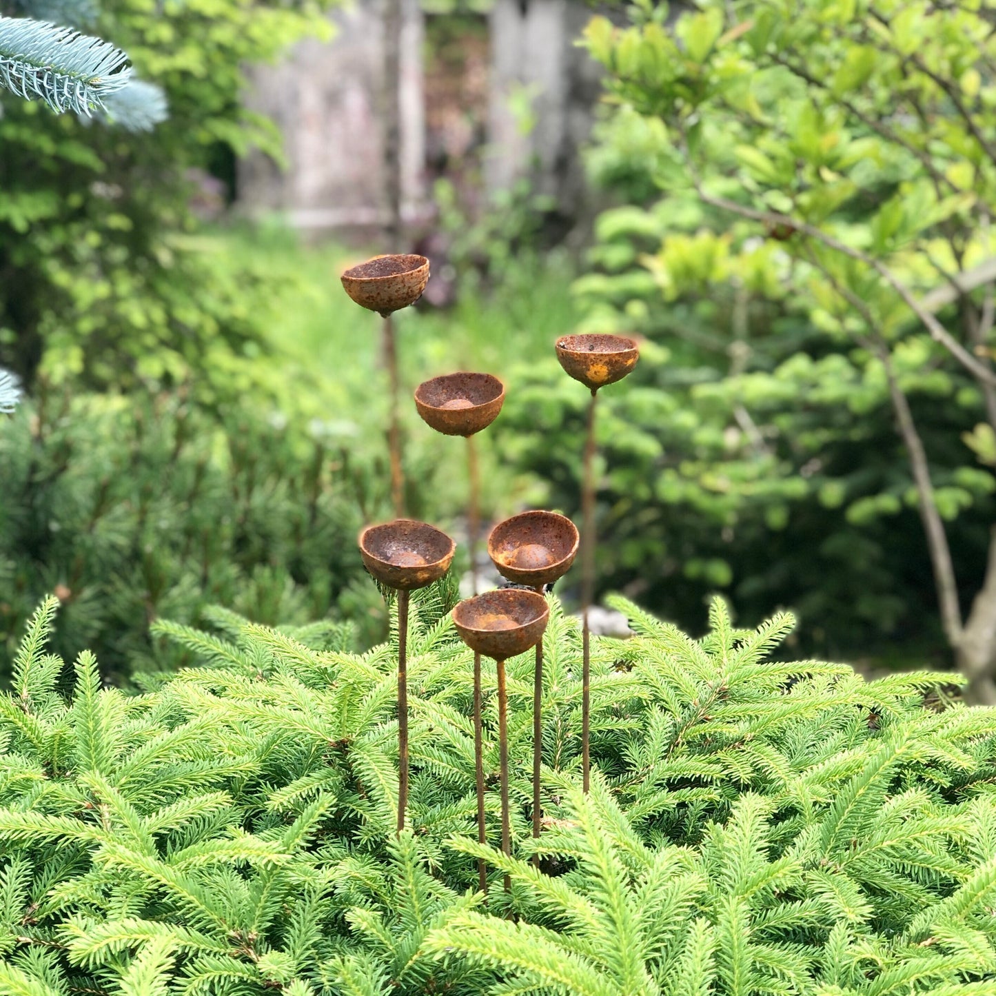 Rusty flowers set of 6, Flowers garden decor, Metal garden decor, metal yard art, outdoor metal decor, Rusty metal rain catchers