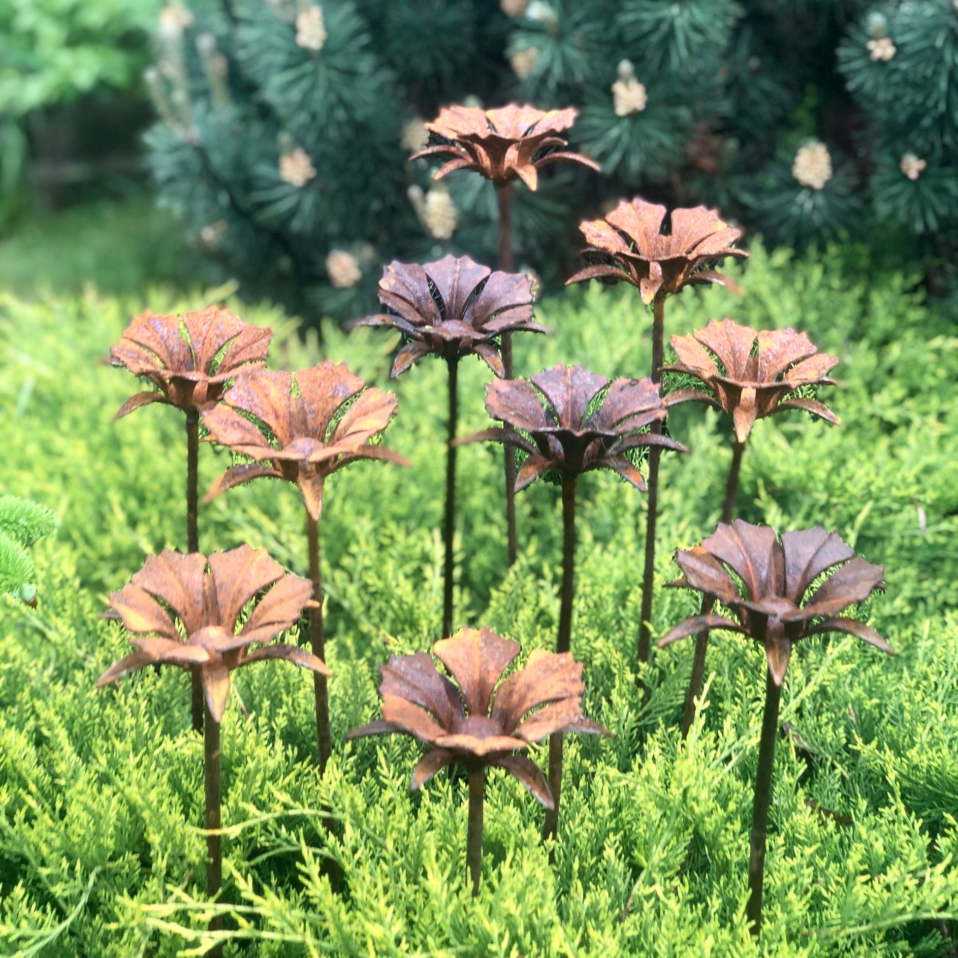 Rusty flowers set of 10, 10 Rusty flowers garden stakes, Metal garden decor, metal yard art, outdoor metal decor, Rusty metal garden decor