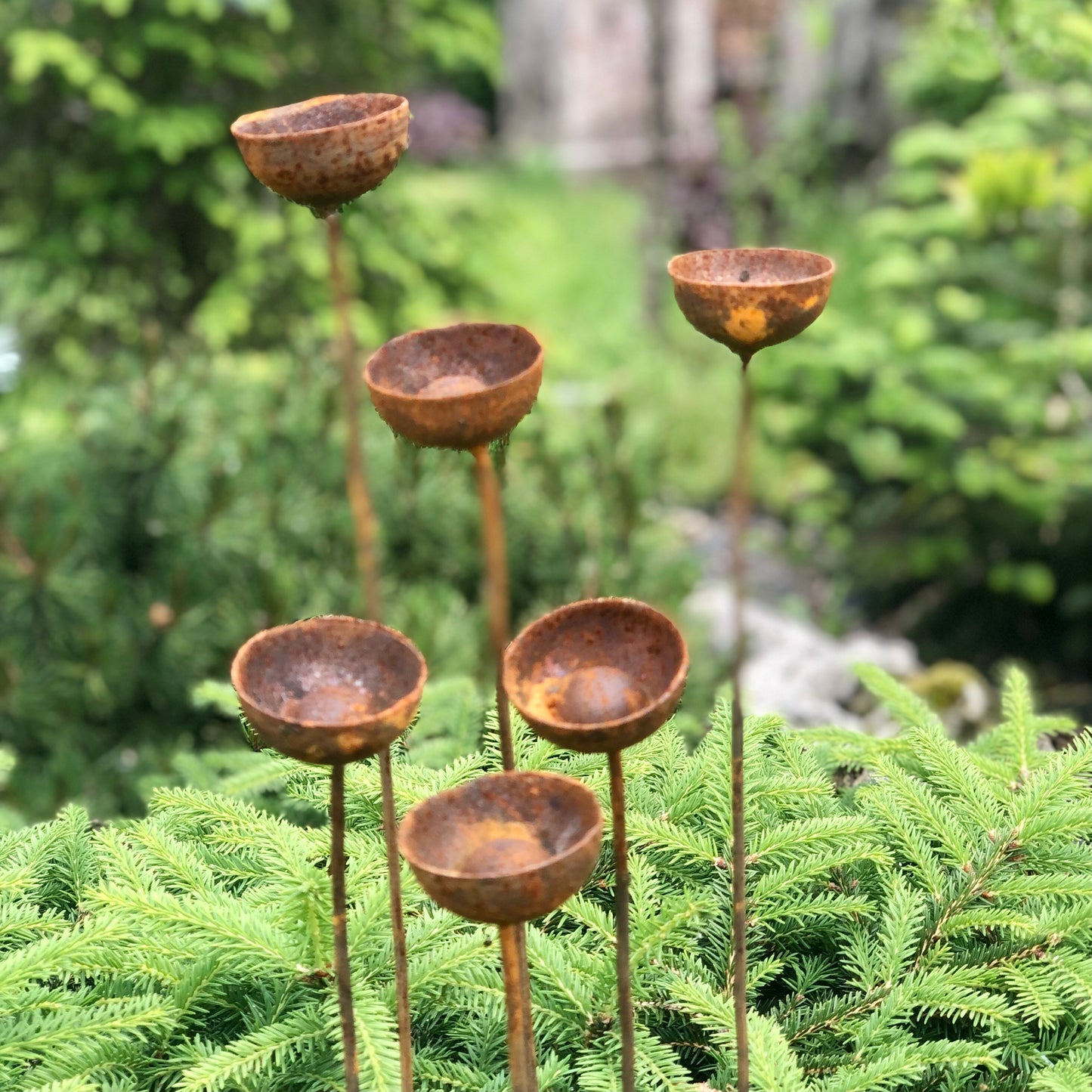 Rusty flowers set of 6, Flowers garden decor, Metal garden decor, metal yard art, outdoor metal decor, Rusty metal rain catchers