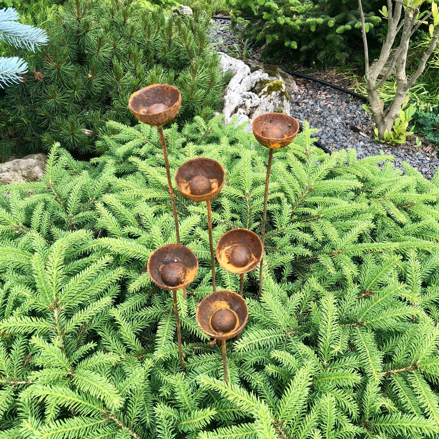 Rusty flowers set of 6, Flowers garden decor, Metal garden decor, metal yard art, outdoor metal decor, Rusty metal rain catchers