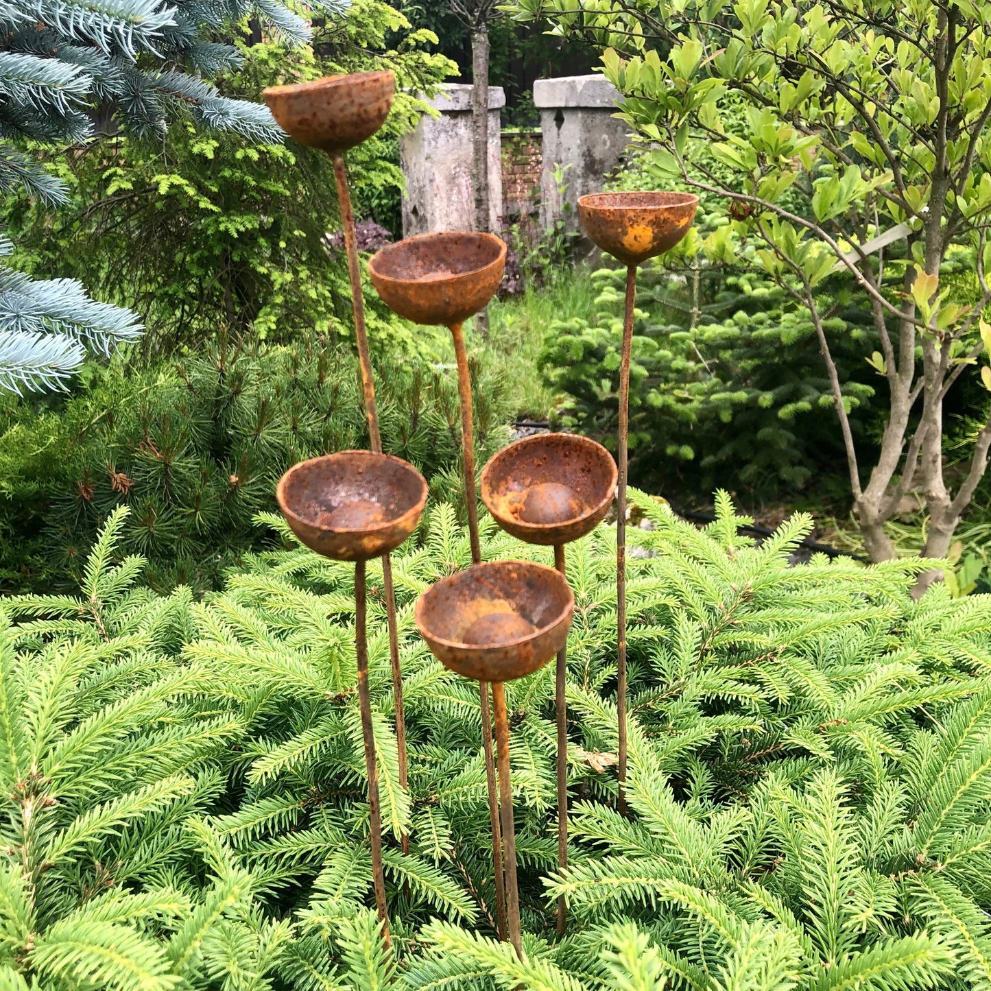 Rusty flowers set of 6, Flowers garden decor, Metal garden decor, metal yard art, outdoor metal decor, Rusty metal rain catchers