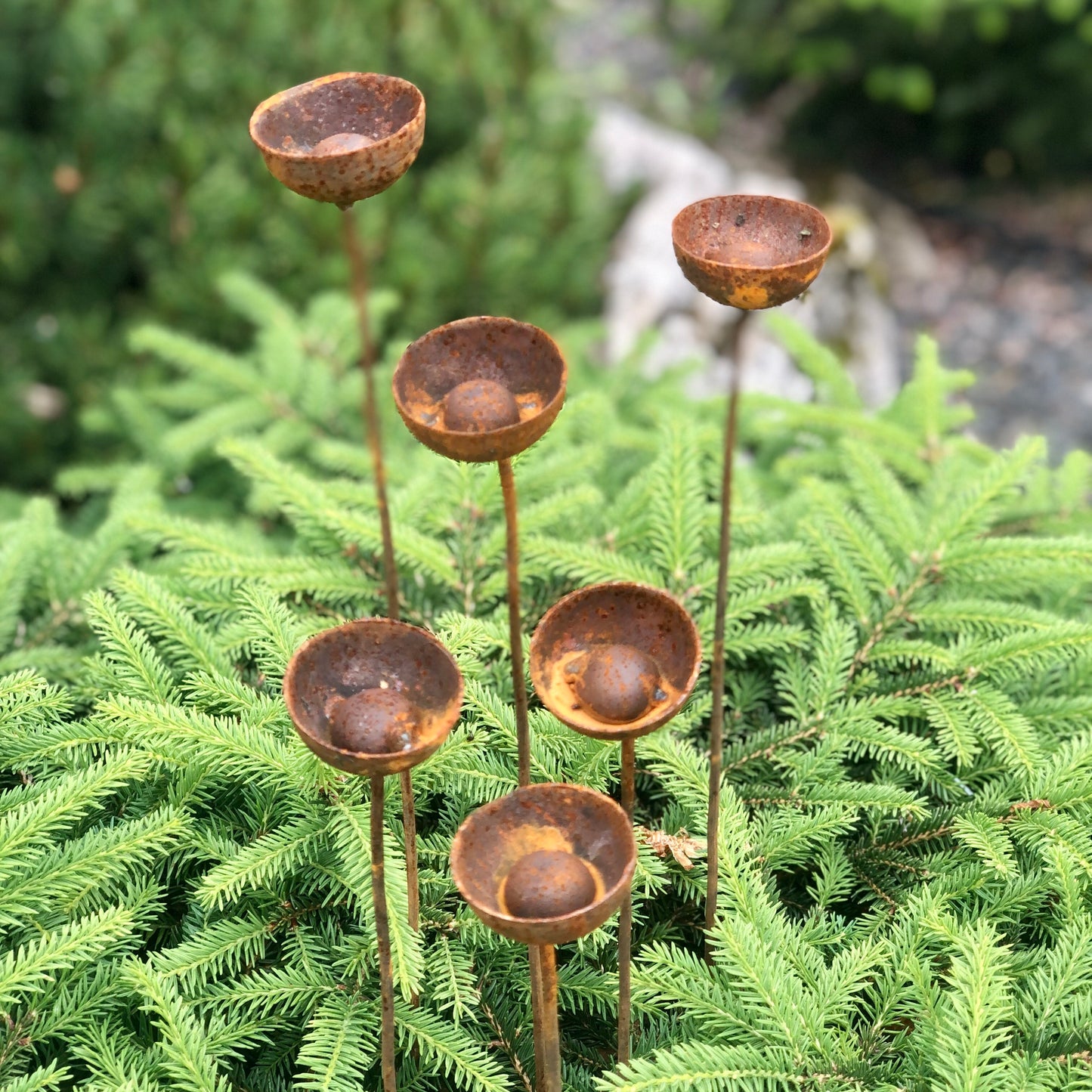 Rusty flowers set of 6, Flowers garden decor, Metal garden decor, metal yard art, outdoor metal decor, Rusty metal rain catchers