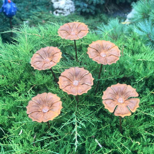 This Rusty metal garden art of 6 beautiful rusty metal flowers will place decorative accent in the garden compositions and landscape, create an atmosphere of romance and coziness in your home.