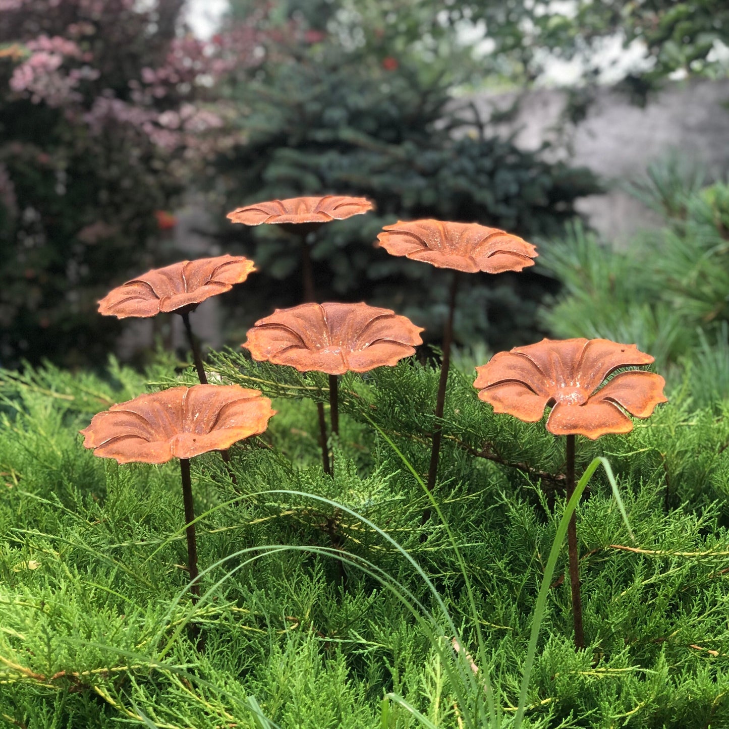 This Rusty metal garden art of 6 beautiful rusty metal flowers will place decorative accent in the garden compositions and landscape, create an atmosphere of romance and coziness in your home.