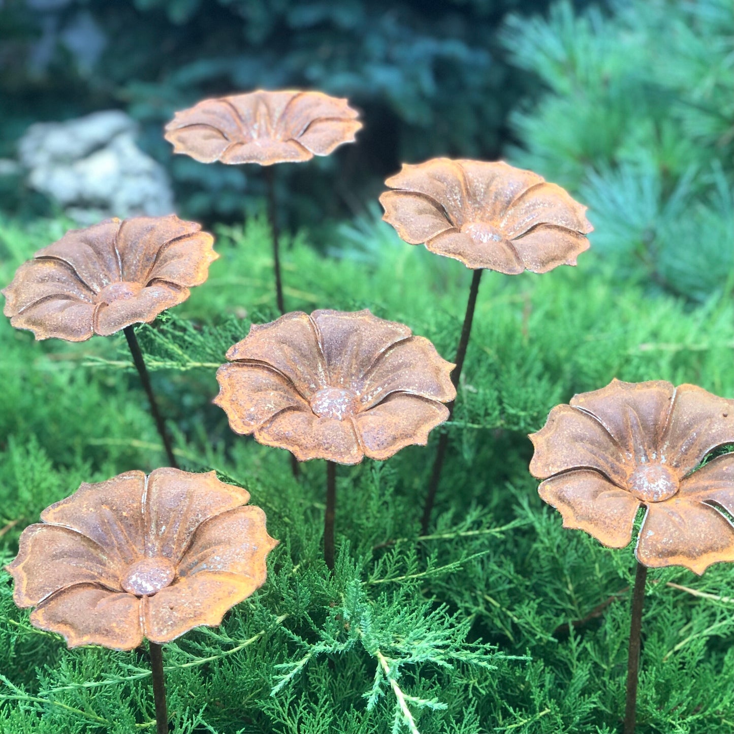 This Rusty metal garden art of 6 beautiful rusty metal flowers will place decorative accent in the garden compositions and landscape, create an atmosphere of romance and coziness in your home.