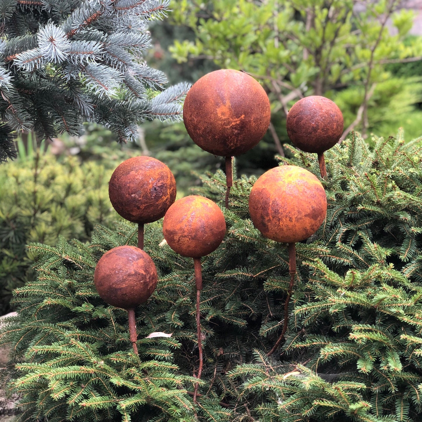 Set of 6 Rusty Metal Balls on Stakes: Unique Rusty Garden Decor for Your Outdoor Space.