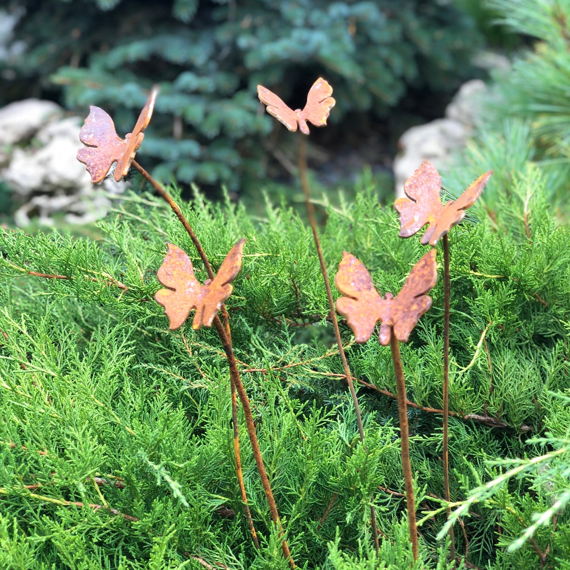 Rusty butterflies set of 5, 5 Rusty butterflies garden stakes, Metal garden decor, metal yard art, outdoor metal decor