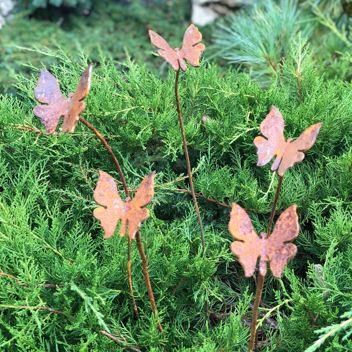 Rusty butterflies set of 5, 5 Rusty butterflies garden stakes, Metal garden decor, metal yard art, outdoor metal decor