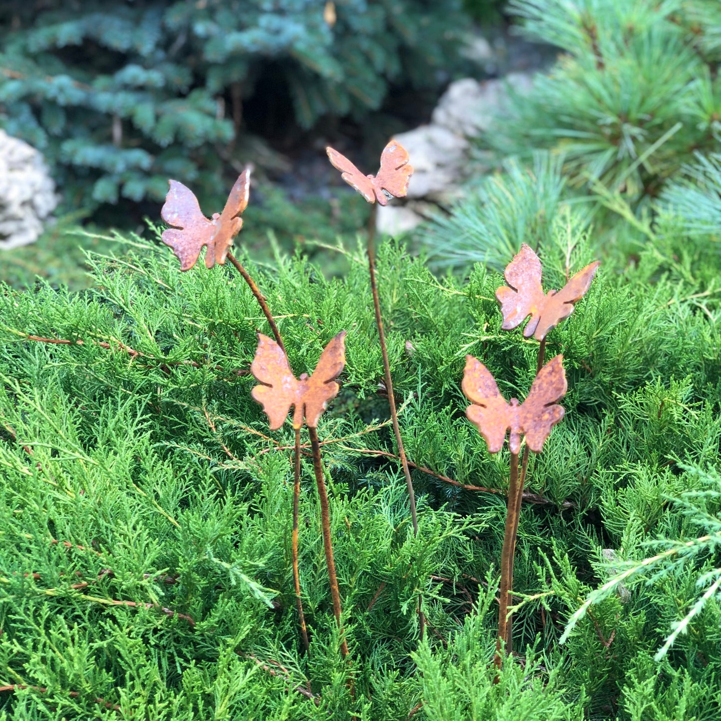 Rusty butterflies set of 5, 5 Rusty butterflies garden stakes, Metal garden decor, metal yard art, outdoor metal decor