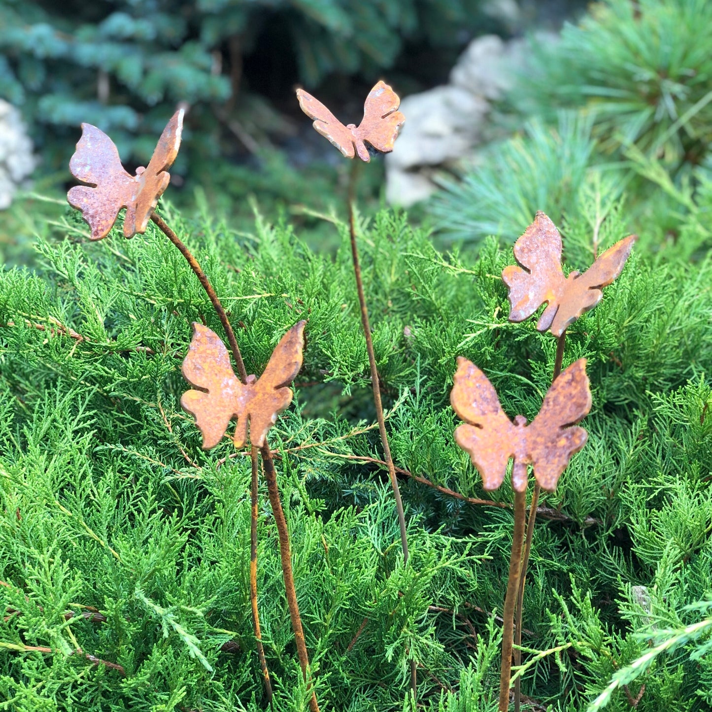 Rusty butterflies set of 5, 5 Rusty butterflies garden stakes, Metal garden decor, metal yard art, outdoor metal decor